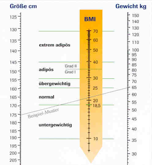 Ist gut bmi welcher Welcher Taillenumfang